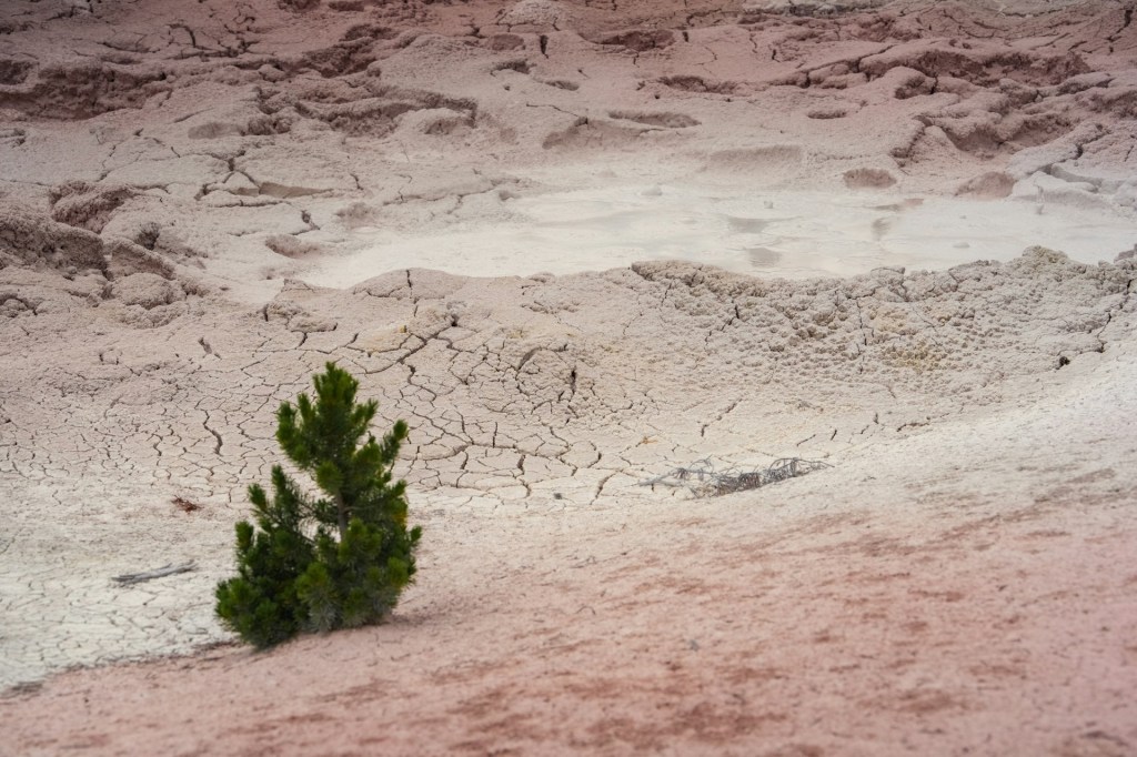 What Philosophy is to&nbsp;Me