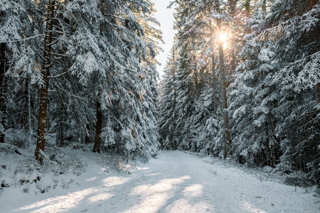 Philosophy Journey and Blog&nbsp;Update